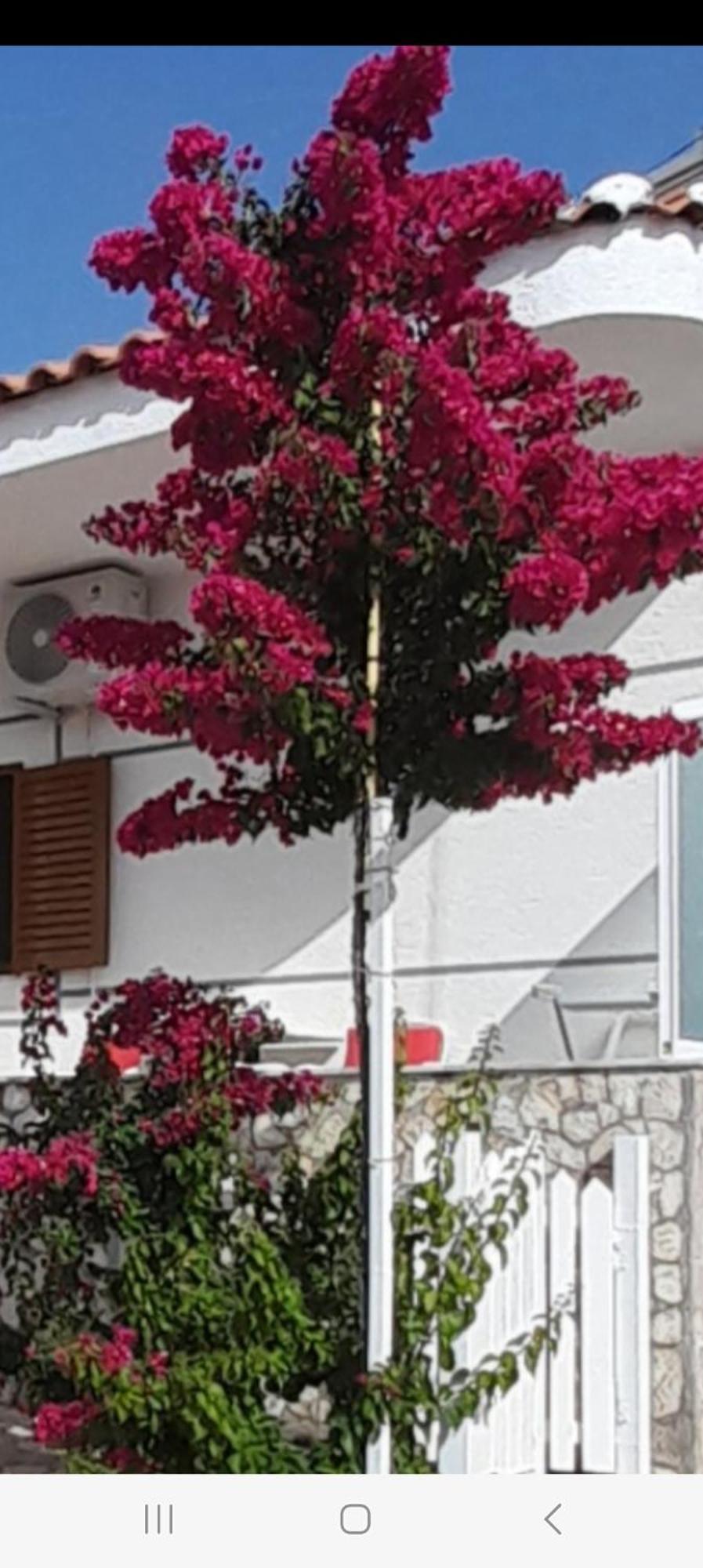 Luxury Dennis Home Sarandë Eksteriør bilde
